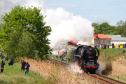 03.05.2014 Lokomotywa parowa 498.104 Albatros (Słowacja) podczas parady w Wolsztynie