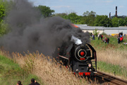 03.05.2014 Lokomotywa parowa 475.179 (Czechy) podczas parady w Wolsztynie