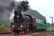 16.08.2014 0l49-69, SU45-089 i SP32-204 podczas parady w Międzychodzie