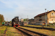 03.05.2015 Parow&oacute;z Ol49-69 manewruje na stacji Międzyrzecz