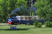 Lokomotywa spalinowa Niebieska 20.07.2013 10:30