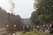 30.08 Pociąg Kilof z parowozem Ol49-69 stoi na stacji Nowa Ruda