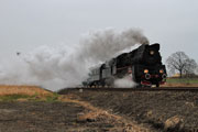 16.02 Pociąg Nikodem z parowozem Ol49-69 w drodze do Nowejwsi Mochy