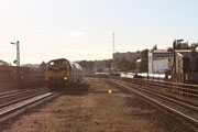 20.09 Pociąg Borowik z lokomotywą spalinową SU42-506 manewruje w Gorzowie Wielkopolskim