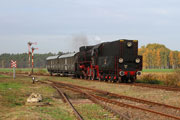 22.10 Parow&oacute;z Ol49-69 z pociągiem WOLTUR relacji Zbąszynek - Wolsztyn zbliża się do stacji Stefanowo