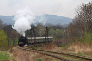 06.04 Pociąg specjalny z parowozem Ty42-107 zbliża się do przystanku Męcina Podgórze