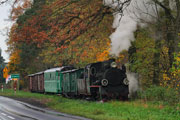 27.10.2013 Pociąg specjalny Gnieźnieńskiej Kolei Wąskotorowej wyjeżdża z Gniezna