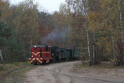 27.10.2013 Pociąg specjalny Gnieźnieńskiej Kolei Wąskotorowej zbliża się do stacji Ostrowo Stare