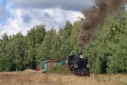 21.09.2013 Pociąg specjalny Gnieźnieńskiej Kolei Wąskotorowej przejeżdża przez Strzyżewo Witkowskie