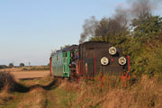 21.09.2013 Pociąg specjalny Gnieźnieńskiej Kolei Wąskotorowej w okolicach Powidza