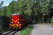 31.07.2015 Pociąg Chorzowskiej Kolei Parkowej