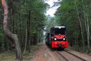 13.09.2015 Pociąg Piaseczyńskiej Kolei Wąskotorowej pomiędzy stacją Szczaki Złotokłos a Run&oacute;w