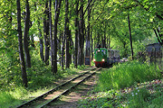 07.05.2016 Kolejka parkowa Maltanka przejeżdża przez tereny leśne wzdłuż Jeziora Maltanka